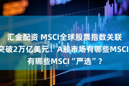 汇金配资 MSCI全球股票指数关联ETF规模突破2万亿美元！A股市场有哪些MSCI“严选”？
