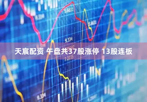 天宸配资 午盘共37股涨停 13股连板