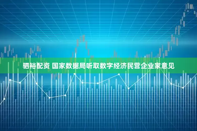 驷裕配资 国家数据局听取数字经济民营企业家意见