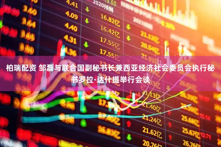 柏瑞配资 邹磊与联合国副秘书长兼西亚经济社会委员会执行秘书罗拉·达什提举行会谈